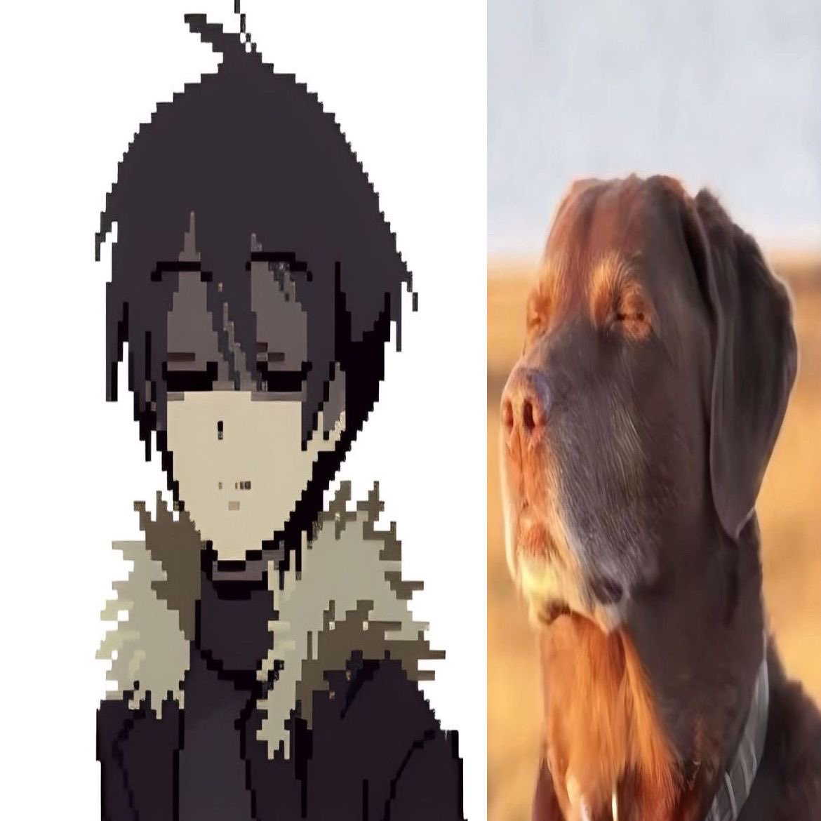 𝕪𝕦𝕜𝕚🥌 tweet media