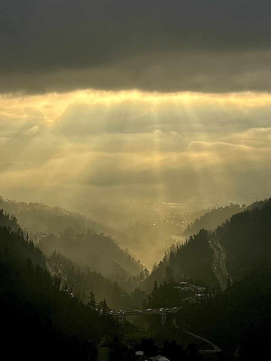 Juan Pablo Morales tweet media