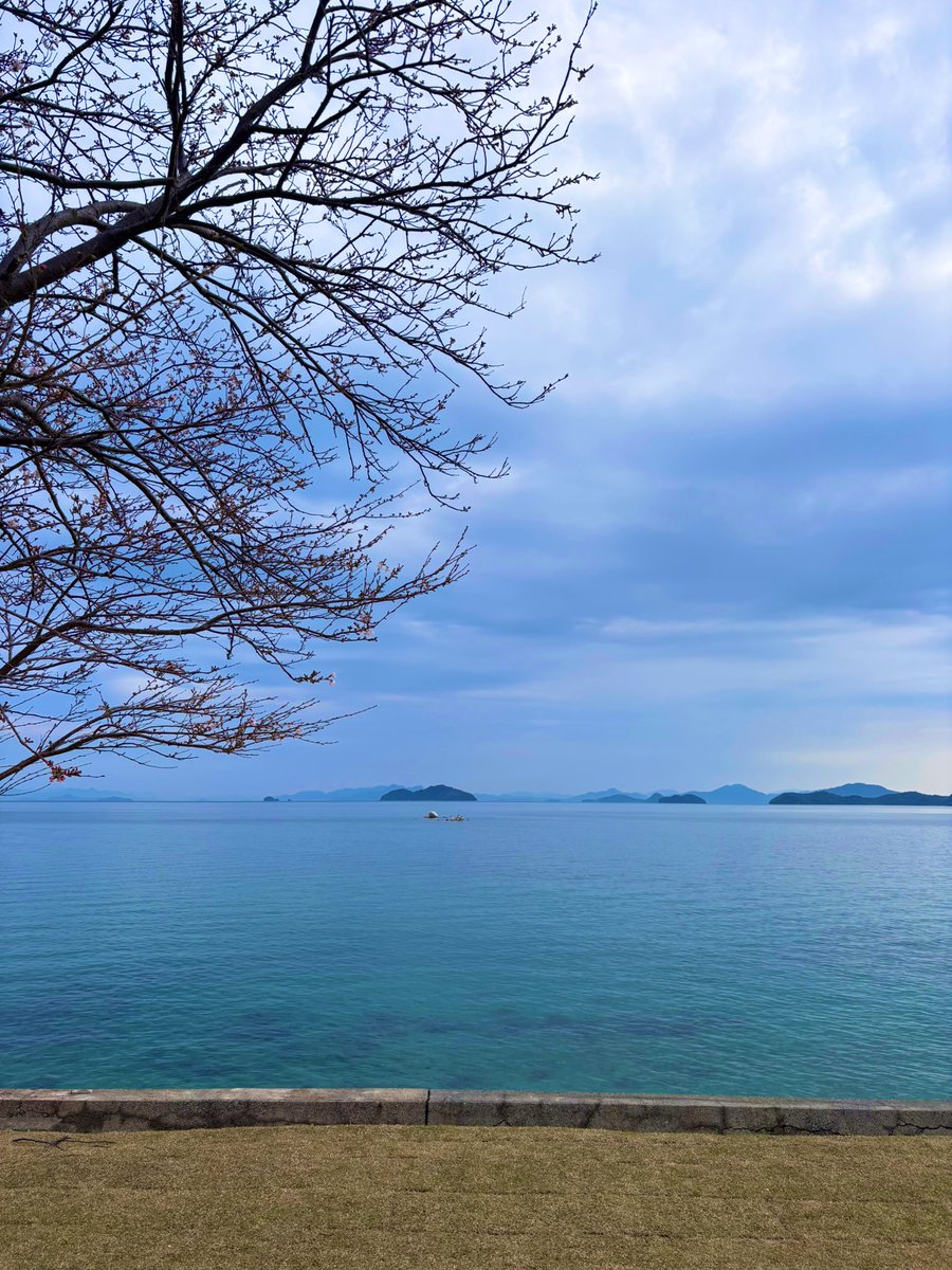 ちゃわ tweet media