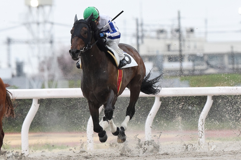 笠松競馬場 tweet media
