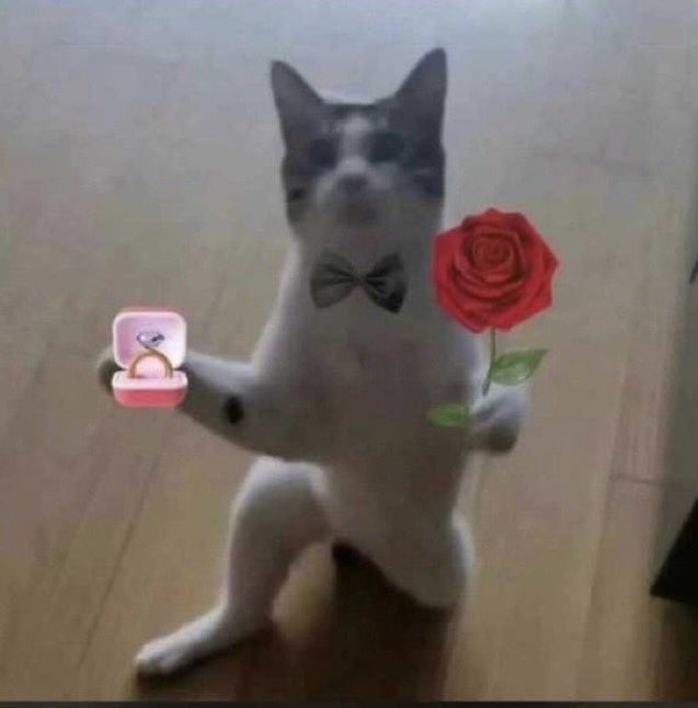 𝕾𝖒𝖔𝖐𝖊𝕾𝖊𝖗𝖊𝖓𝖆𝖉𝖊🍃🎖️ tweet media