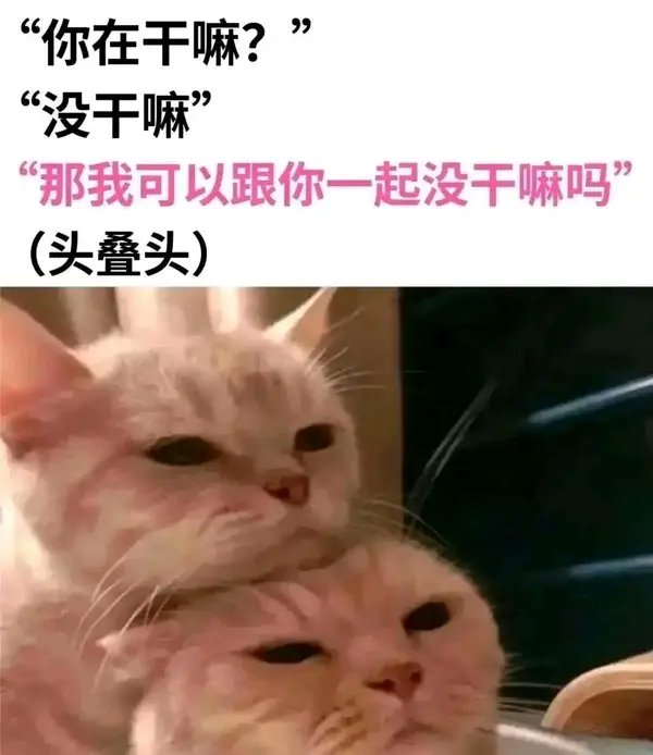 你是想气死铨酱么🍥 tweet media