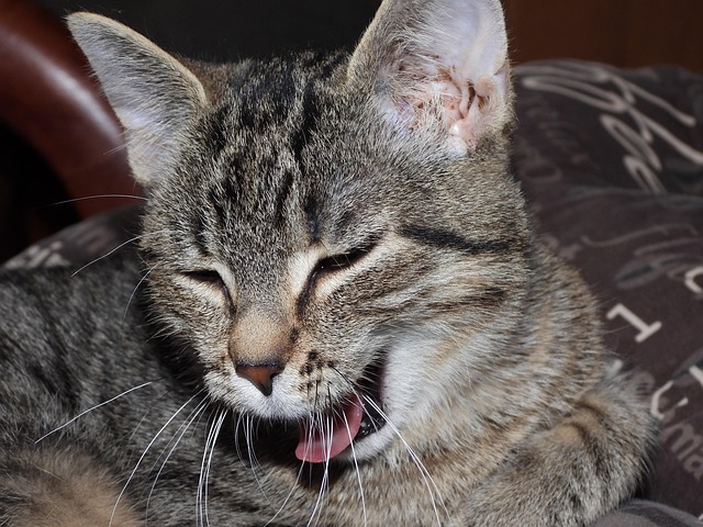 Jan Addington tweet media