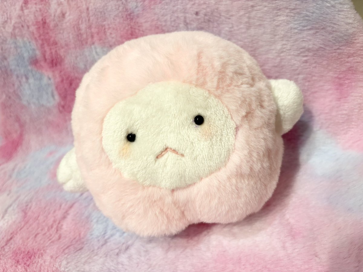 さくらや もも tweet media