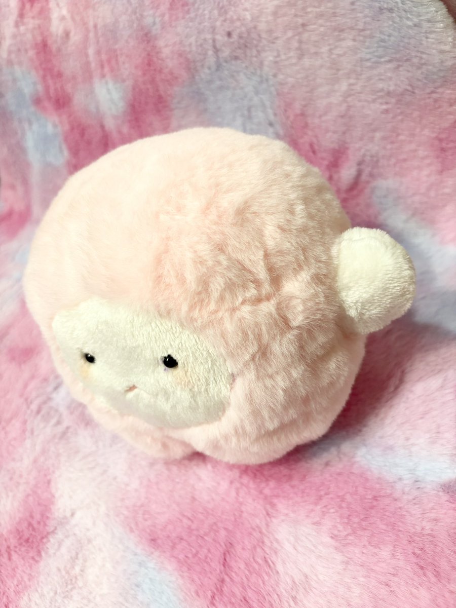 さくらや もも tweet media