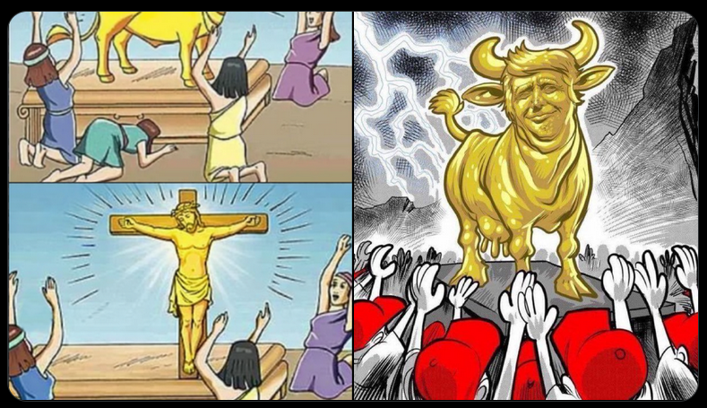 wonderful truth tweet media