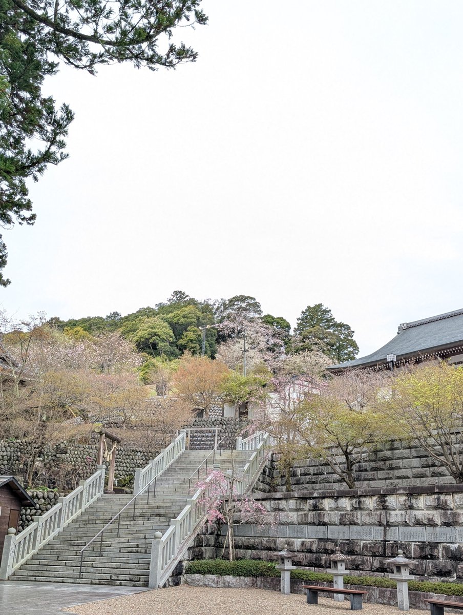 法多山 tweet media