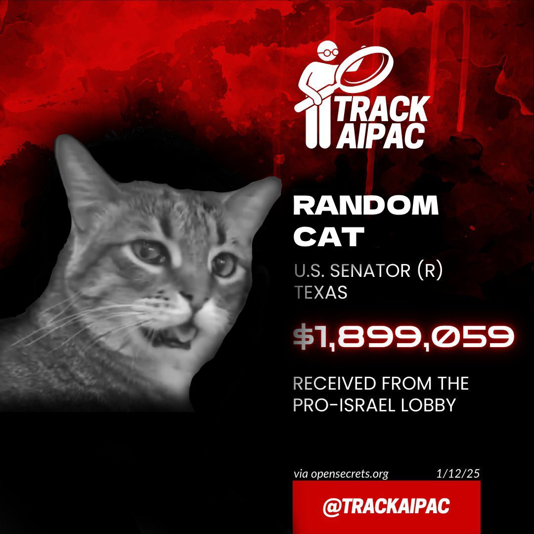 Madbuttonpusher tweet media