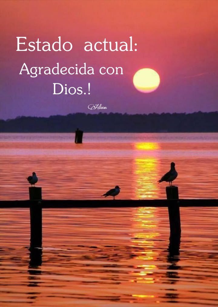 OluMarVas! 🤍 tweet media