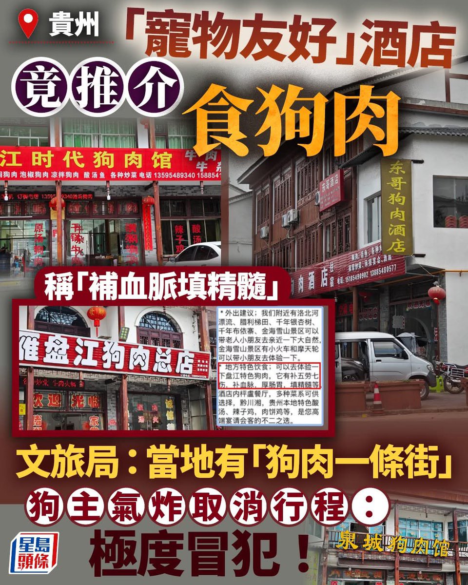 香港/中國新聞-小豬 tweet media