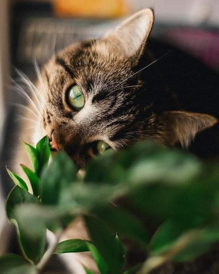 ‏♚حبـಿـر آلمـಿـوده 💛♚ tweet media