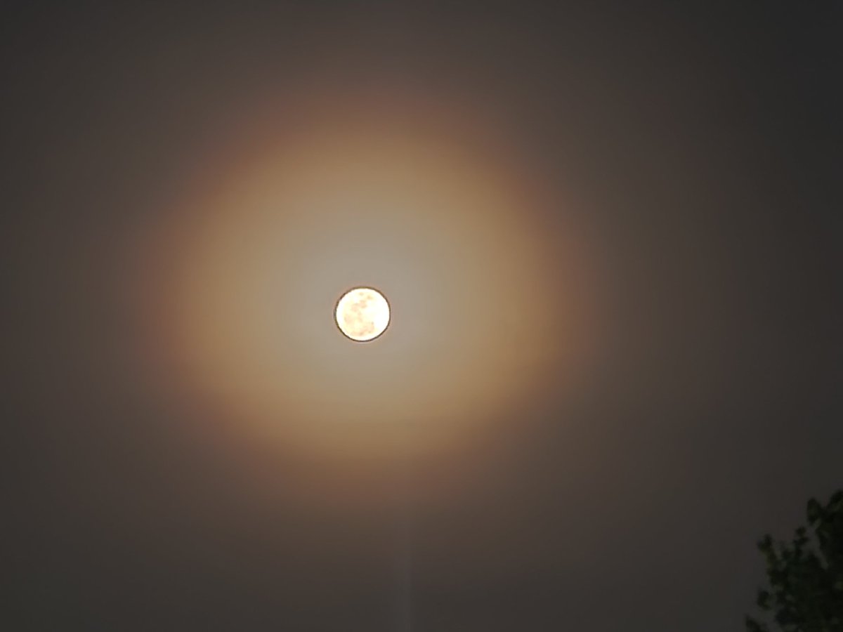 moonlitefire's tweet photo. Y'all👇🏼 that #MoonLite in Texas😍 #TexasSky https://t.co/jYHJo3Khq8