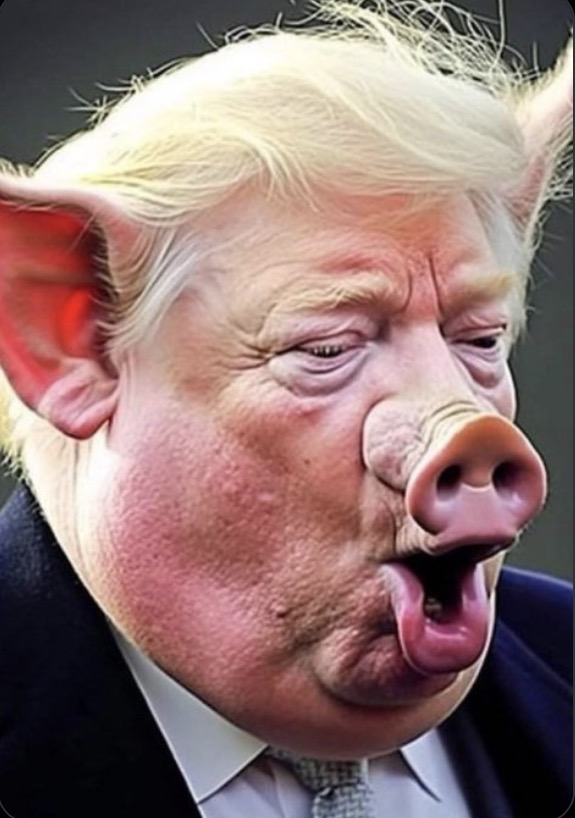 Colin Monaghan tweet media