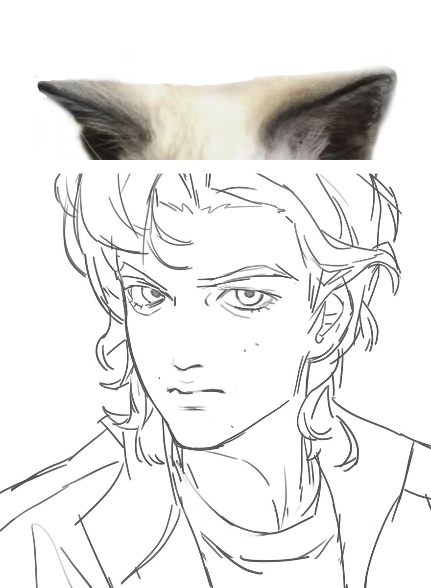 LINDRA:3 tweet media