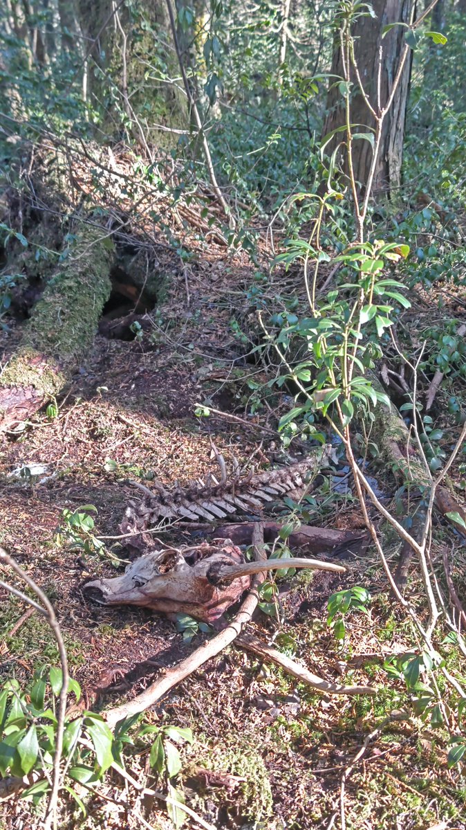 KG''小 平''中村 tweet media