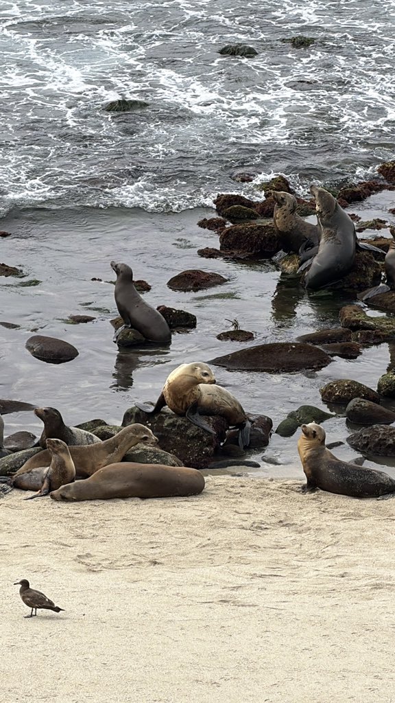 Jen Geller, MD tweet media