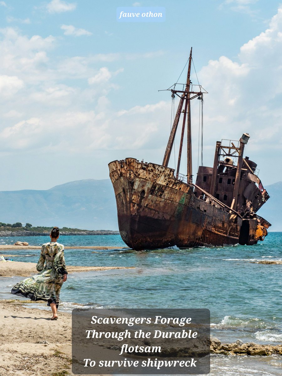 Morgan_R_R_Haze's tweet photo. #Fantaiku #Firewords
Scavengers Forage
Through the Durable flotsam
To survive shipwreck
fauve othon https://t.co/WXYVtfABD0 https://t.co/bFBSw8g81Y
