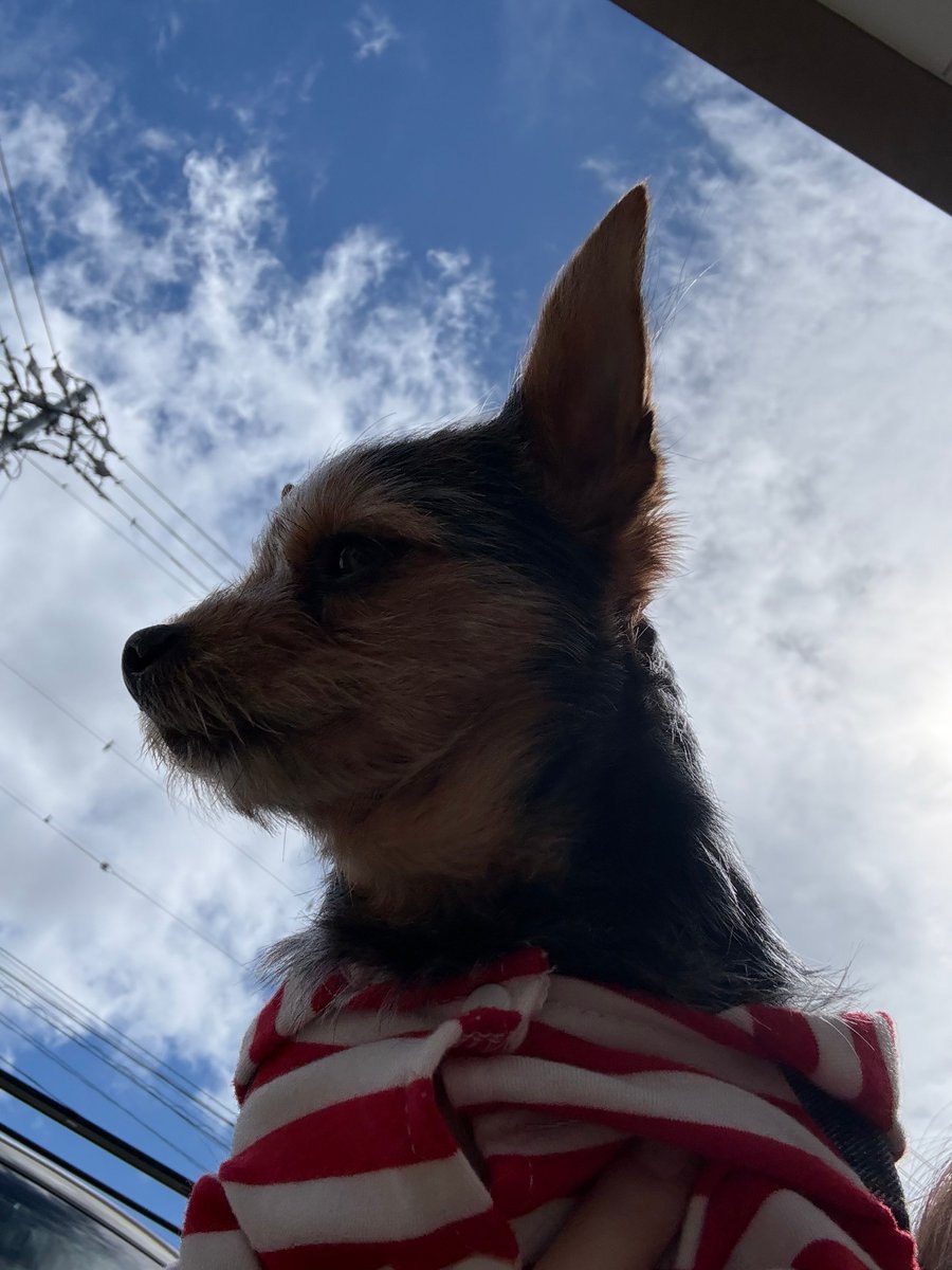 合同会社エースプランニング tweet media