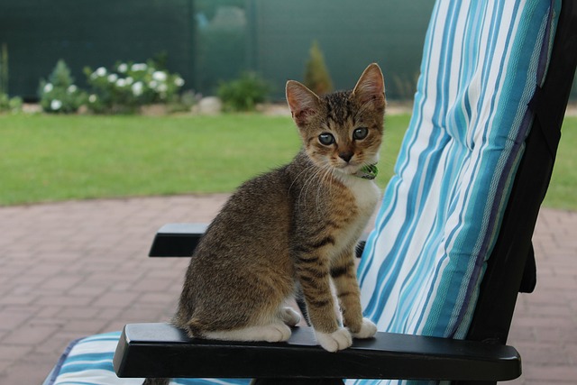 OmarPaiz23313's tweet image. 함께여서 버틸 수 있었어 Luca cảm ơn vì đã kiên nhẫn lắng nghe 🫡 شكراً لأنك فهمتني

#NewIdeas