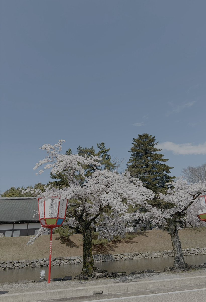 太田智美 / Tomomi Ota tweet media