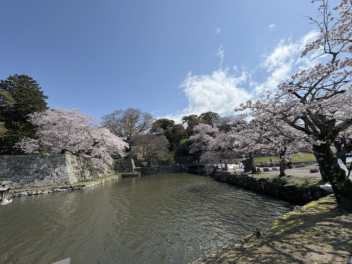 太田智美 / Tomomi Ota tweet media