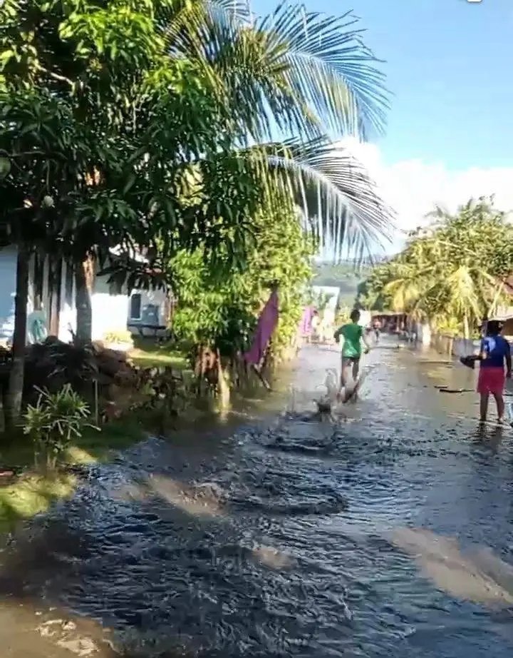 Sumatera Adil & Federal tweet media