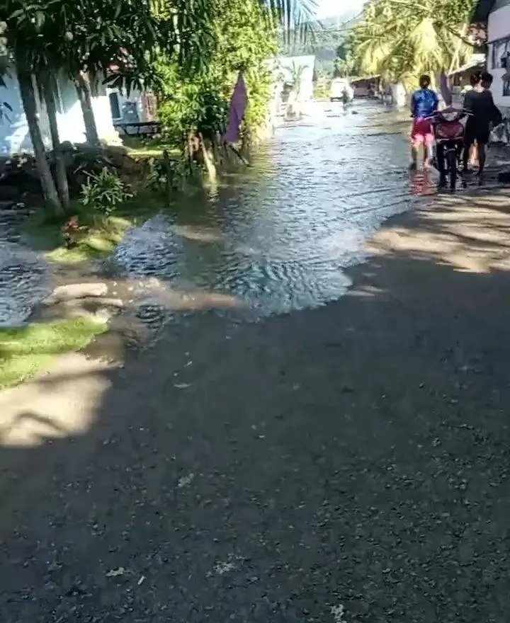 Sumatera Adil & Federal tweet media