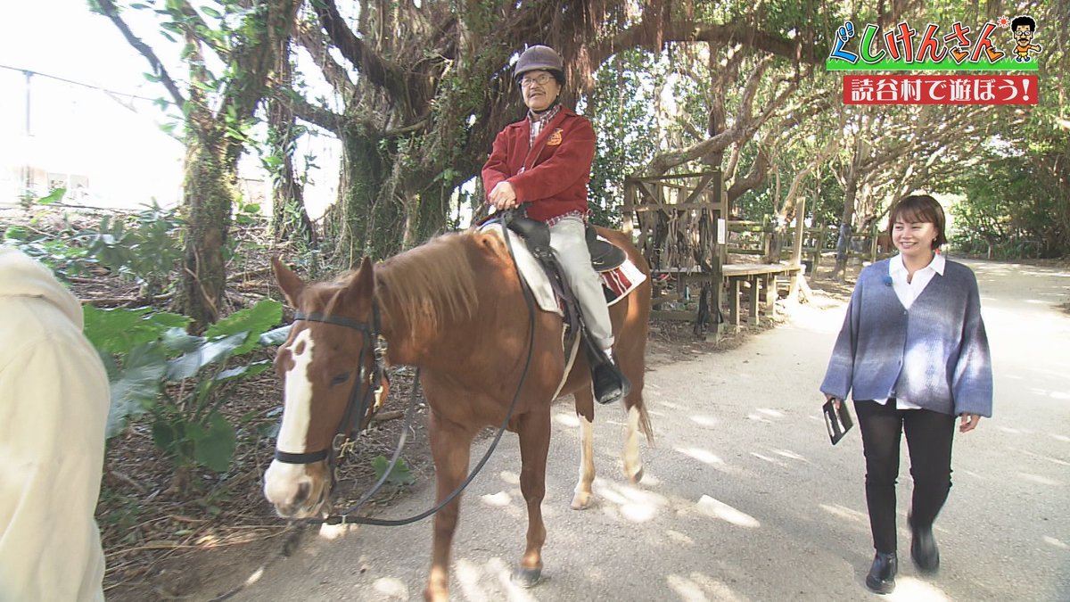 OTVゆ～たん【沖縄テレビ公式】 tweet media