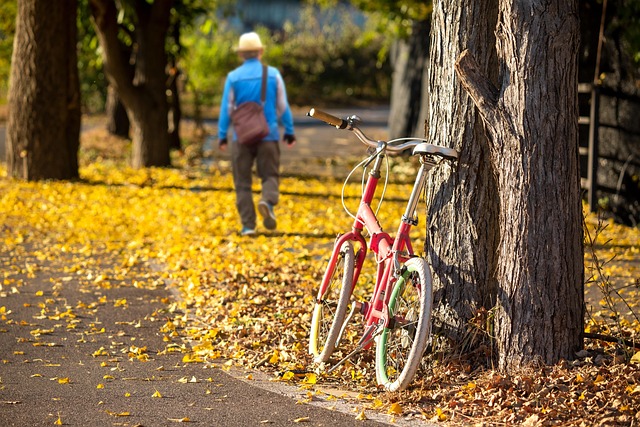 Matthew Carter tweet media