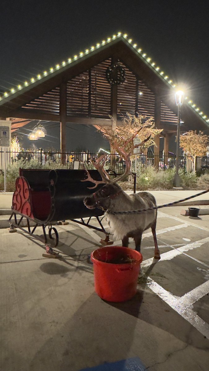 Theju🌸 tweet media