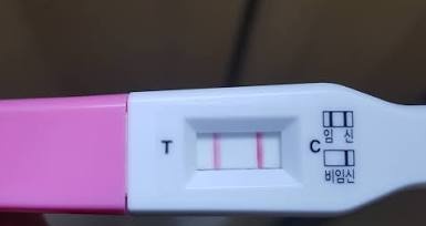 갱생이 tweet media