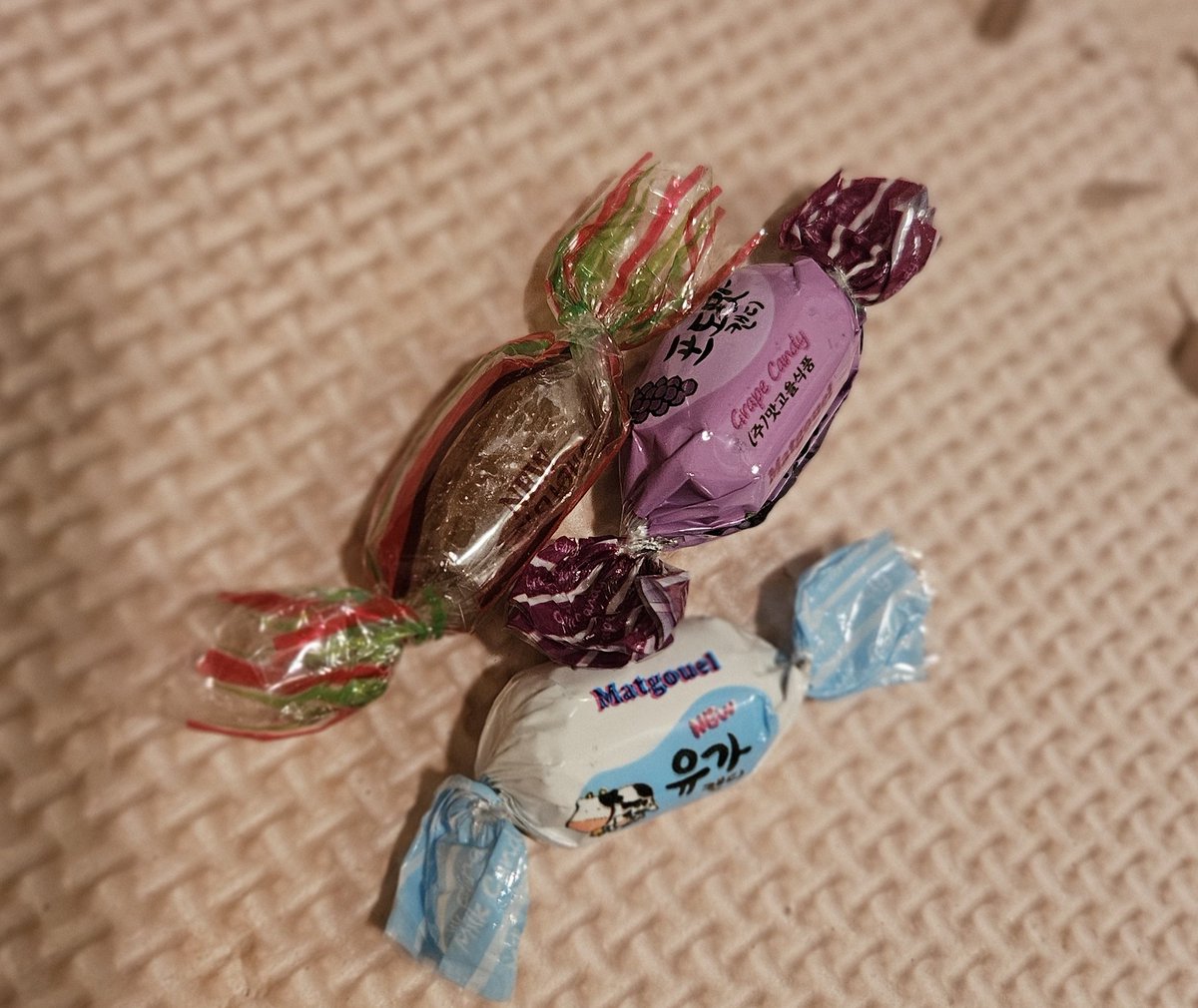 😺냥글냥글또또네 tweet media