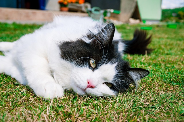 Clinton Haynes tweet media