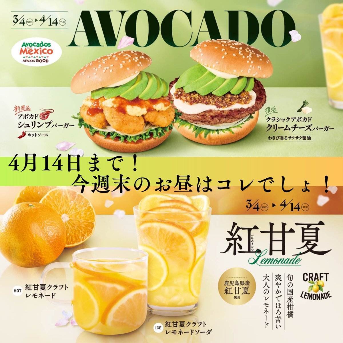 フレッシュネスバーガー【公式】 tweet media