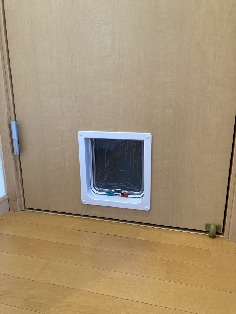 おくまる@わさんぼん tweet media