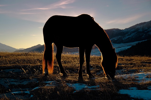 Jen Peterson tweet media