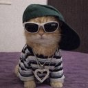 VolumeSniperX | Degen Hunter tweet media