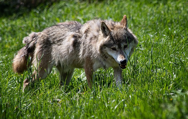 Brian Vazquez tweet media