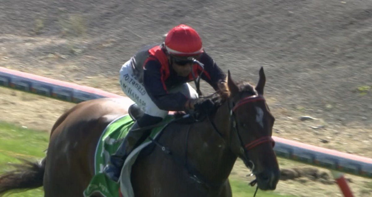 CarstonRacing's tweet photo. Hard Attack &amp; Yogesh Atchamah bring home the chocolates and give the team a winning double 💪🏻

A positive ride from the word go, Hard Attack led all the way to score her maiden victory by 1.5L

Congrats to all involved with this mare and thank you to Yogesh for the winning ride. https://t.co/MFZil9Pozj