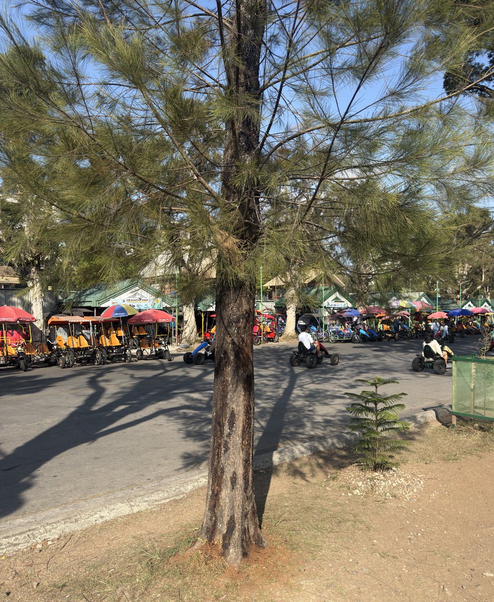 i-Baguio2600 tweet media