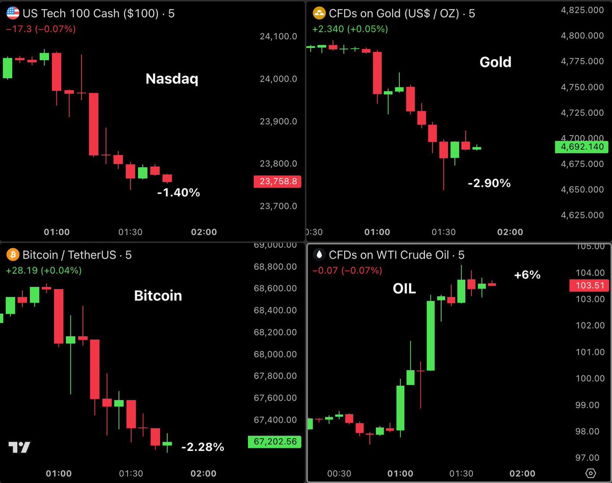 Bull Theory tweet media