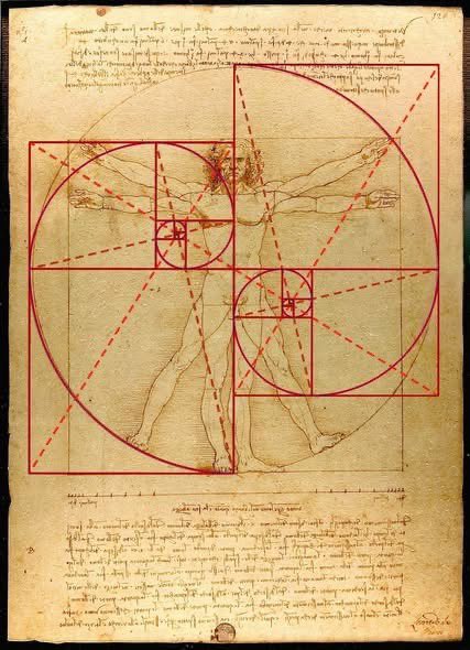 TeacherCharlesT's tweet photo. The human body is a perfect reflection of gods signature through sacred geometry. Its use of electromagnetic energy, water and movement as well as the chemical adjustments it makes via its cognitive processes is astounding. April/2026 #fibonacci #goldenratio #leonardodavinci https://t.co/7edNFDU2pq