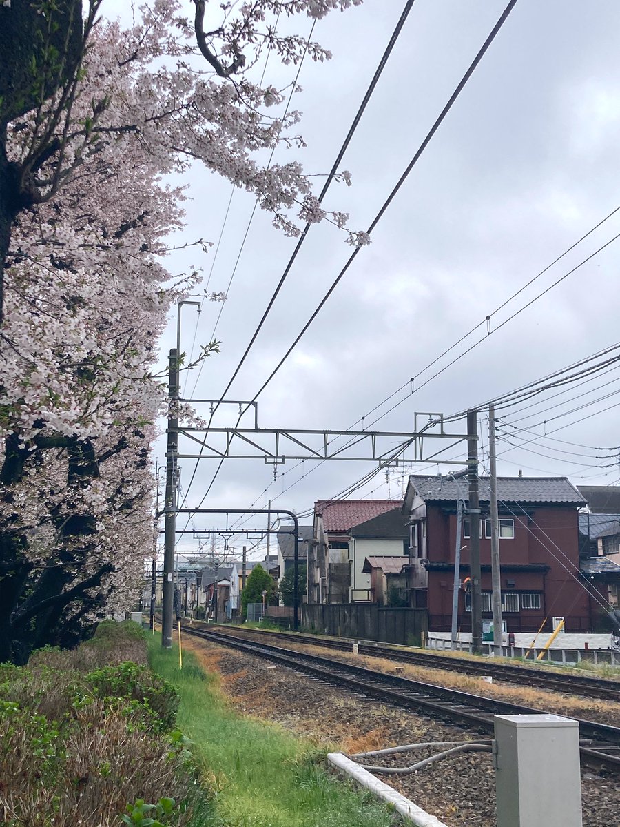 gallery  shell102 tweet media