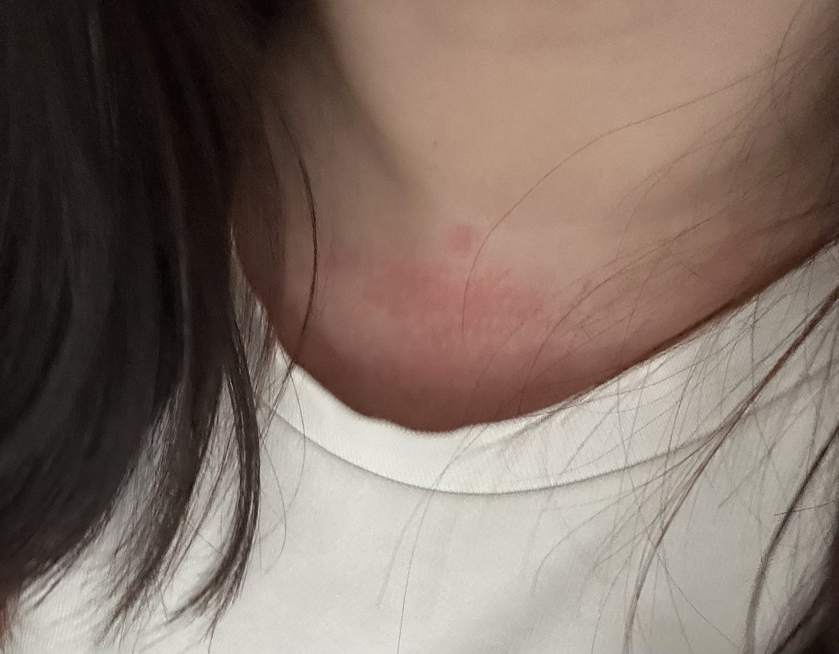 🐏🐟 tweet media