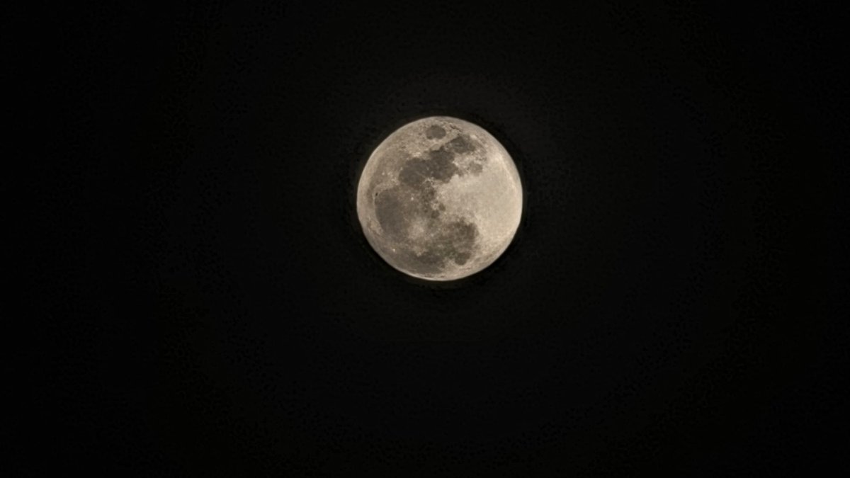 michaelwx6's tweet image. Astronauts will be around the moon in the couple of days 🥹

Full pink moon tonight in Texas! 🌕