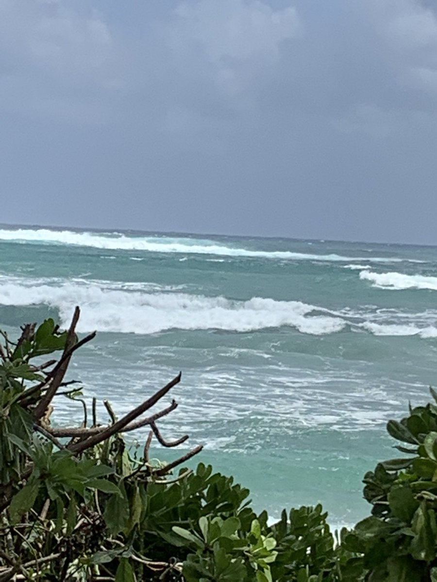 Care7077 tweet media