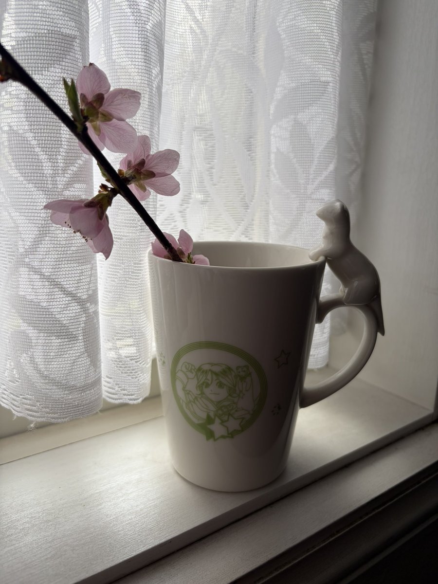 齋藤彩夏 tweet media