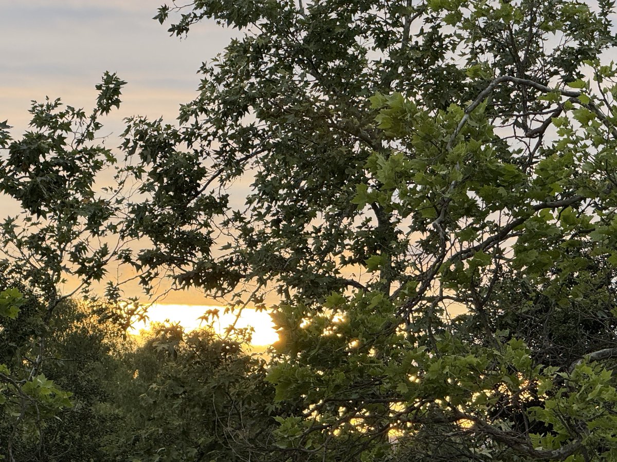 Art - Spreader of Kindness tweet media