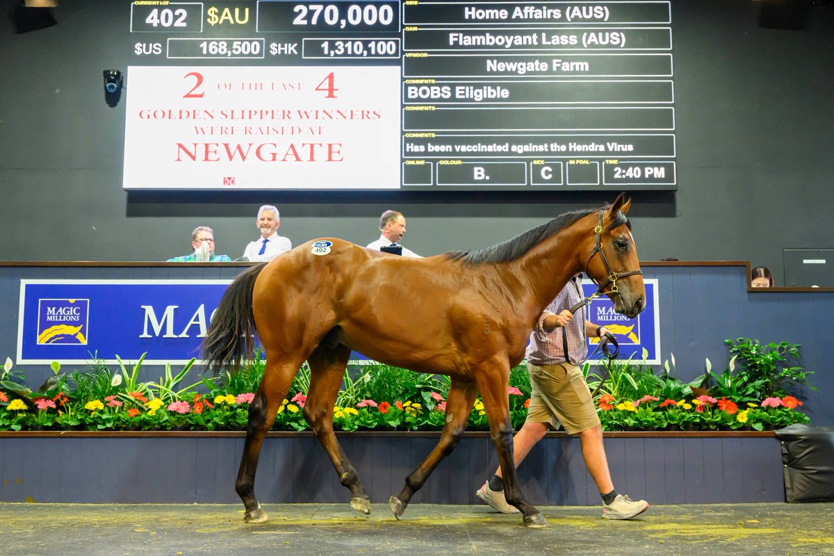 Magic Millions tweet media
