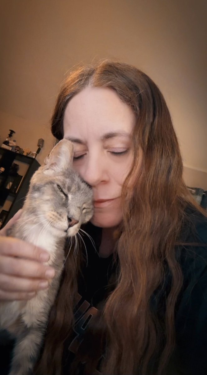 cgcallen's tweet photo. Had to put down my kitty Baby girl today.. I will miss her. ❤️‍🩹 https://t.co/ogwimMt5fh